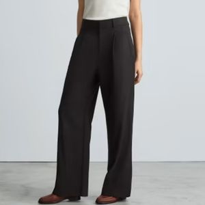 Everlane The Way High Drape Wide Leg Pant 14